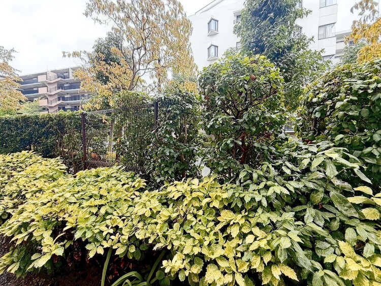 その他 眺望や窓からの景色が良いと、家で過ごす時間も快適です。