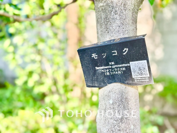 内装 ◆間接照明◆オレンジ色の光が僕達を大人な気分にさせる。静かで優しく語りかけるその光は、今日の終わりを告げてくれ、でも明日にはいい事が必ず来るよ。そんな囁きが聞こえてくる