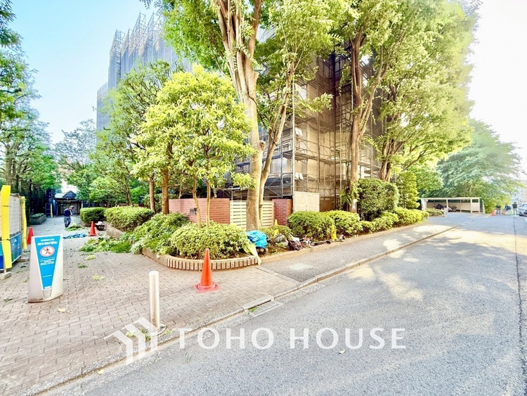 内装 ◆リビング◆たくさんの窓から注ぐ太陽の光。時間の経過とともに光と影のコントラストがこの空間のムードを変え、部屋に変化と温もりをもたらしてくれる。