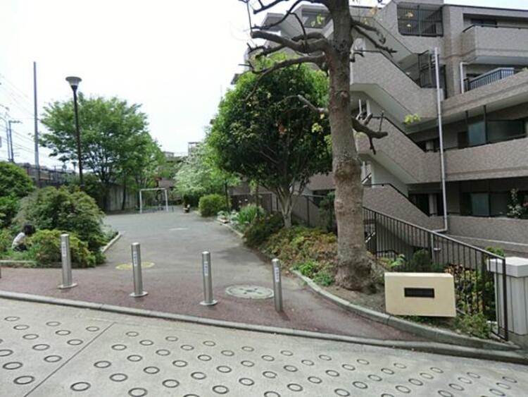 周辺 菊名三丁目第二公園　100ｍ