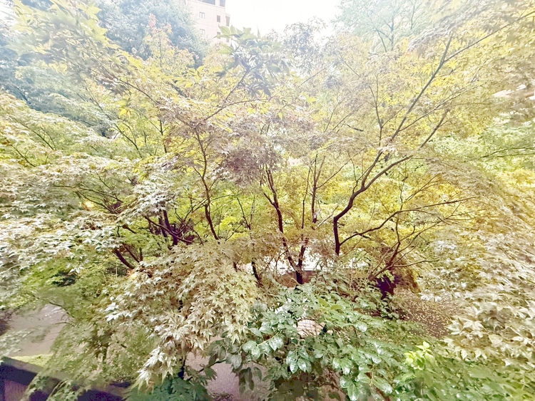 その他 陽当たり・通風・開放感に恵まれた環境です。