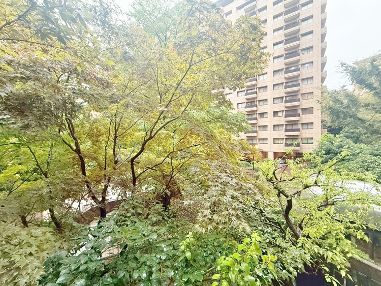 その他 眺望や窓からの景色が良いと、家で過ごす時間も快適です。