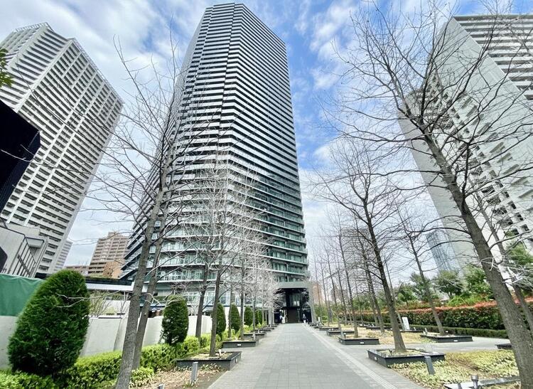 その他 忙しく過ぎゆく日常を置き去るほど、ゆったりした時間が流れる住環境。