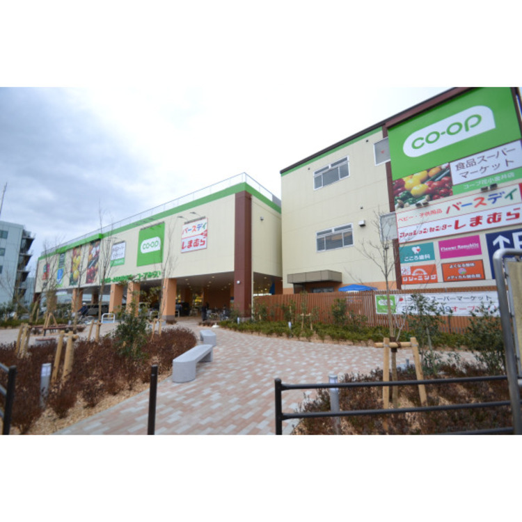 周辺 コープ(約250m)