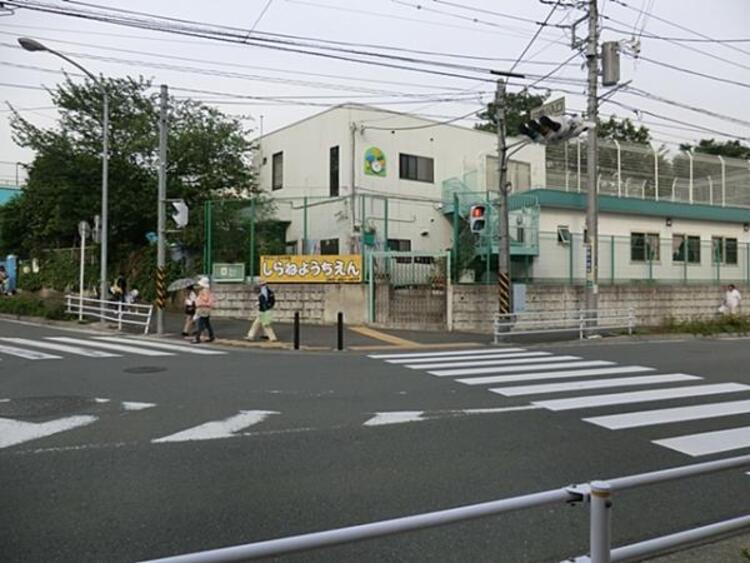 周辺 白根幼稚園まで約1030ｍ