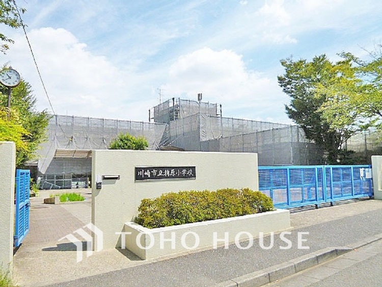 周辺 川崎市立稗原小学校　距離1600ｍ