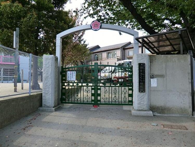 周辺 日吉さくら幼稚園　320ｍ