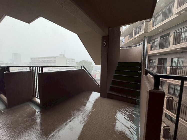 その他 共用部の階段です。明るく清潔に管理されています。