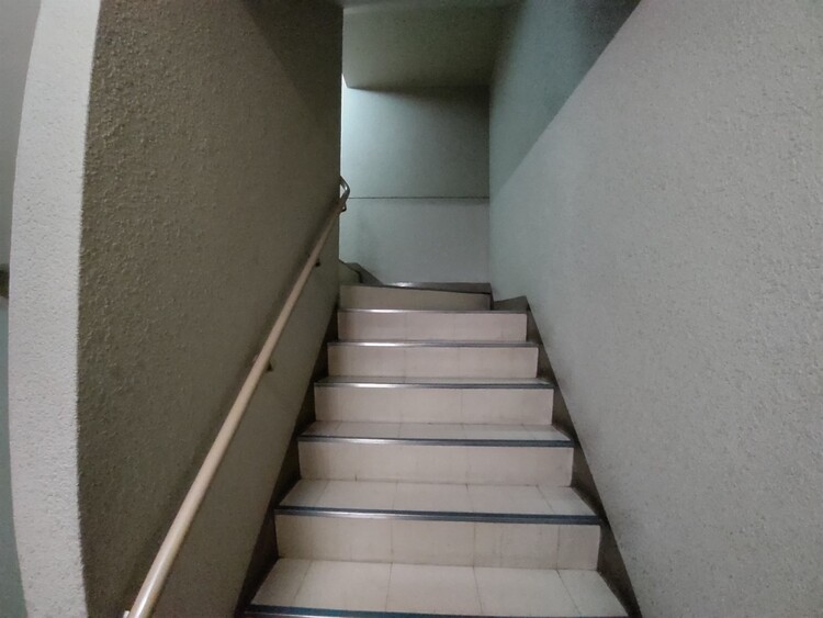 その他 共用部の階段です。明るく清潔に管理されています。