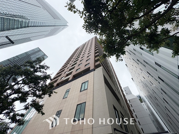 その他 【APPEARANCE】◆弾む思い◆我が家に帰る楽しみに、心掻き立てられる。心弾む。