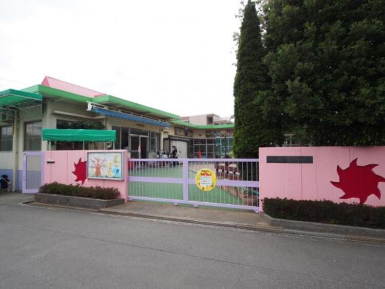 周辺 町田すみれ幼稚園まで約735ｍ