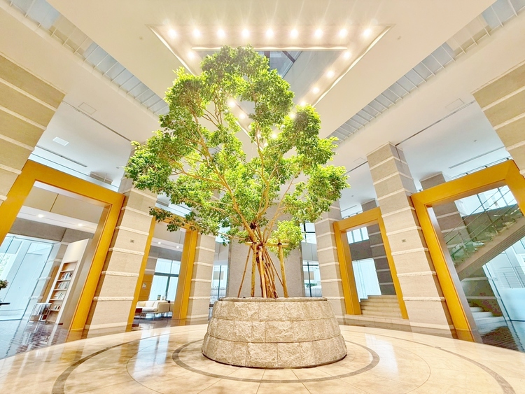 その他 解放的な空間となっております。