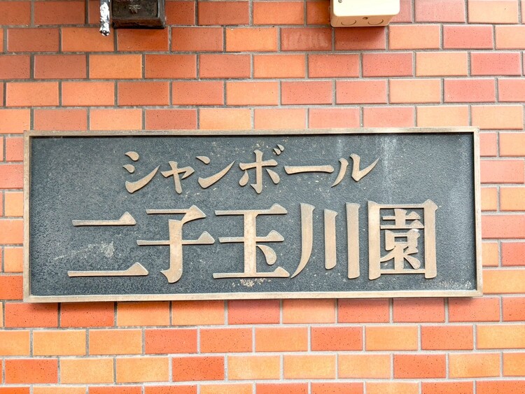 その他 スタイリッシュなエンブレム。お洒落なマンションは入り口から。