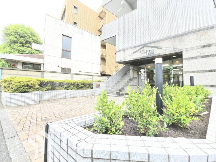 エントランス タイル貼りの壁と、植栽が彩りを添えるエントランスです。階段とスロープが完備されており、ベビーカーや車椅子での出入りもスムーズに行えます。