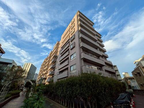 オーベル池袋立教通りの物件画像