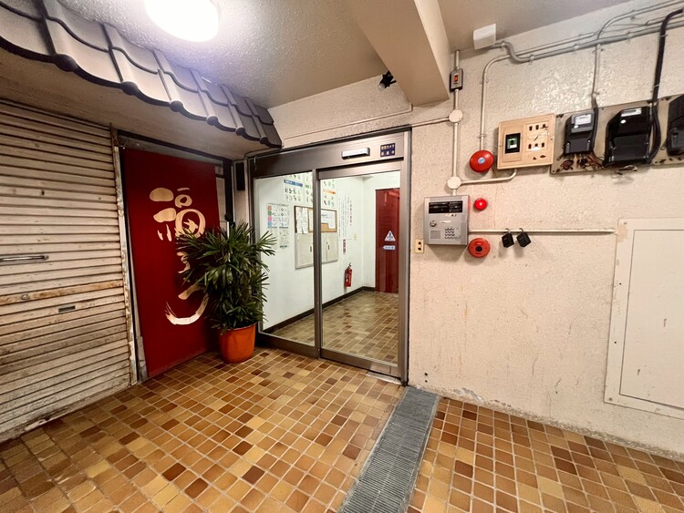 その他 上質感漂う玄関アプローチです。