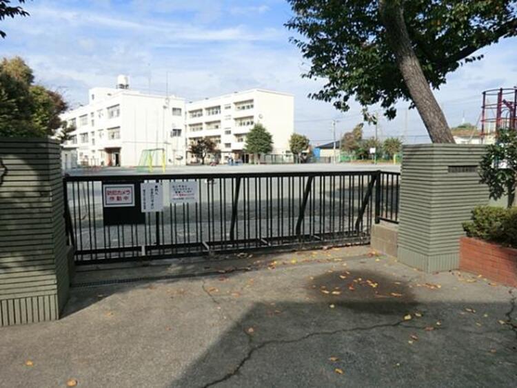 周辺 横浜市立旭小学校	495m