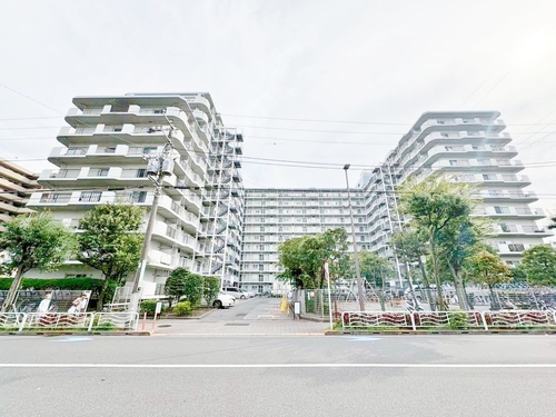 大島スカイハイツの物件画像