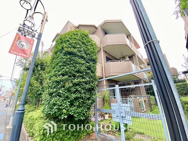 外観 【APPEARANCE】◆眩い◆光が燦々と入り、家族の笑顔を照らす。「いつまでも続いて」と願う夢のような毎日がここにある。