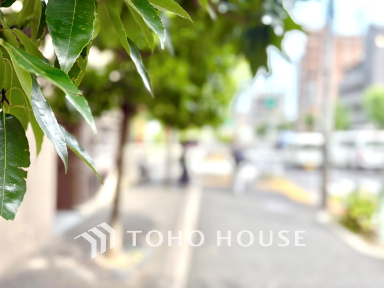 外観 【APPEARANCE】◆眩い◆光が燦々と入り、家族の笑顔を照らす。「いつまでも続いて」と願う夢のような毎日がここにある。