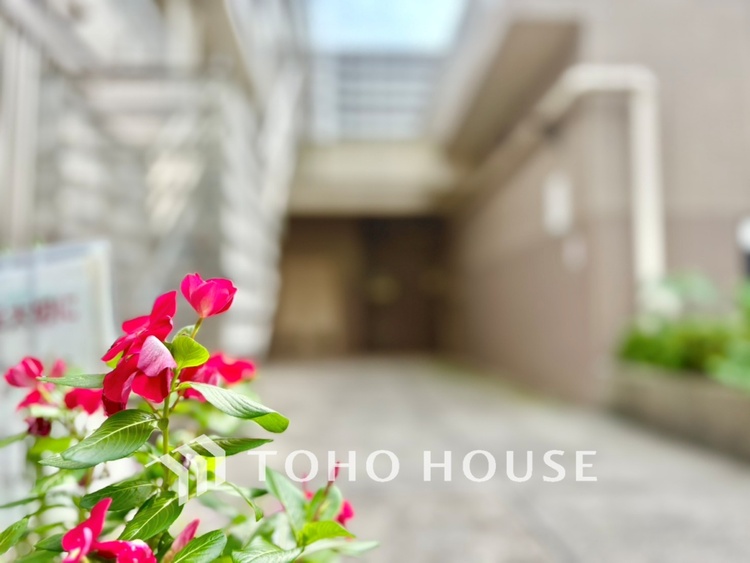 外観 【APPEARANCE】◆Sunshine◆光が燦々と入り、いるだけで気持ちいい。「開放的でゆとりあるお部屋です。」