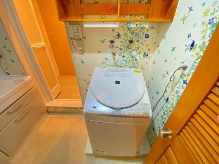 その他 【2025年9月撮影】