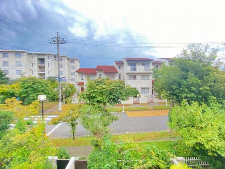 その他 【2025年9月撮影】