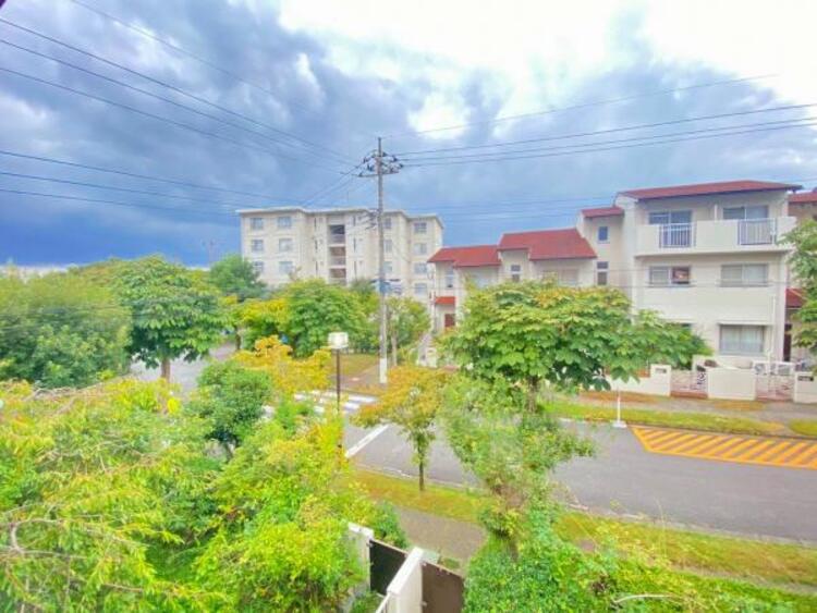 その他 【2025年9月撮影】