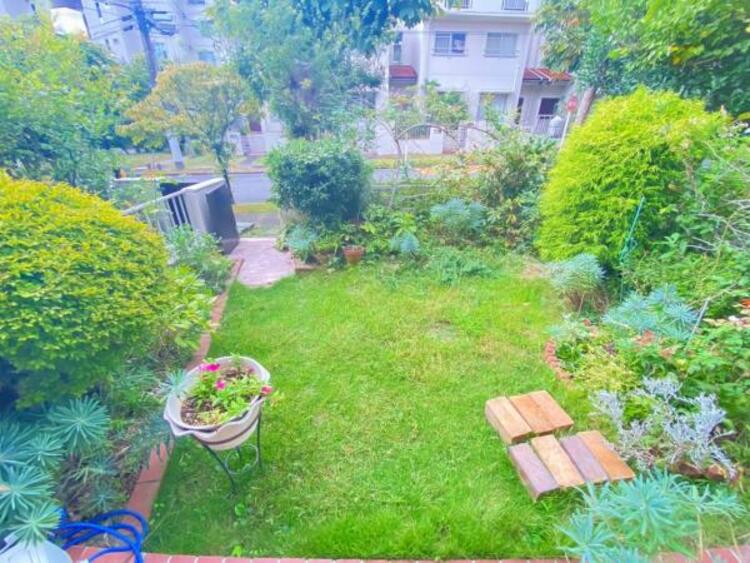 その他 【2025年9月撮影】