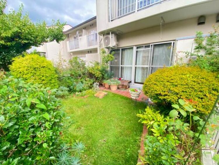 その他 【2025年9月撮影】