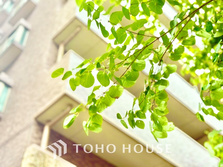 外観 ほんの少しのこだわり。ちょっとした色使いがその家がもつ雰囲気、趣（おもむき）を携え、暮らす家族や訪ねてくる友人・知人に新鮮な香りを運んできます。