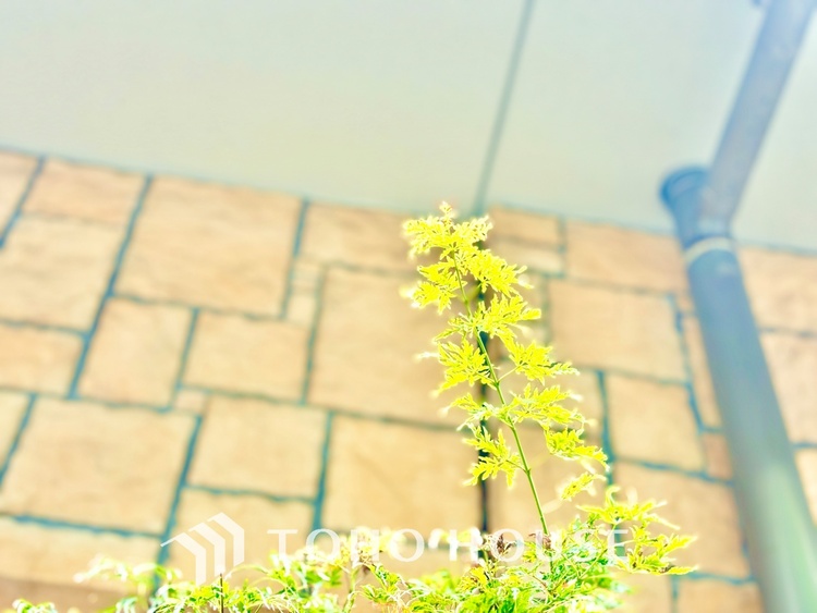 その他 ほんの少しのこだわり。ちょっとした色使いがその家がもつ雰囲気、趣（おもむき）を携え、暮らす家族や訪ねてくる友人・知人に新鮮な香りを運んできます。