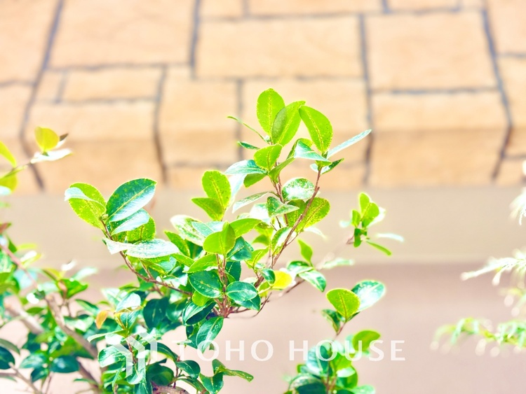 外観 ほんの少しのこだわり。ちょっとした色使いがその家がもつ雰囲気、趣（おもむき）を携え、暮らす家族や訪ねてくる友人・知人に新鮮な香りを運んできます。