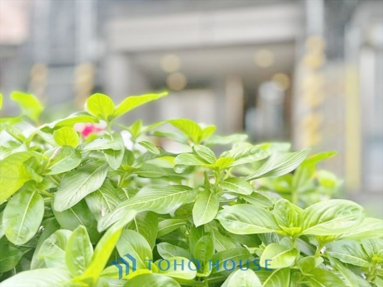 外観 ◆水面に映る◆紅葉を纏った山々を眺め、美しさのあまり感嘆のため息を漏らした事は無いだろうか。いつしか忘れかけていた自然の美しさと力強さを思い出させてくれる、そんな景色がここにもある。