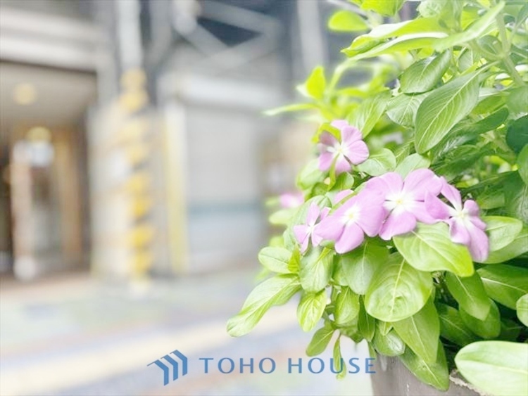 エントランス ◆居心地のいい暮らし◆には欠かせない眩い採光。ゆったりとした幅の窓からこの空間に降り注ぐ採光が絶えない。明るいリビングこそ居心地のいい暮らしが待っているのだと思う。