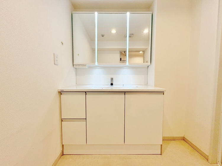 洗面 何かと物が増える場所だからこそ、スッキリと見映えの良い空間に。