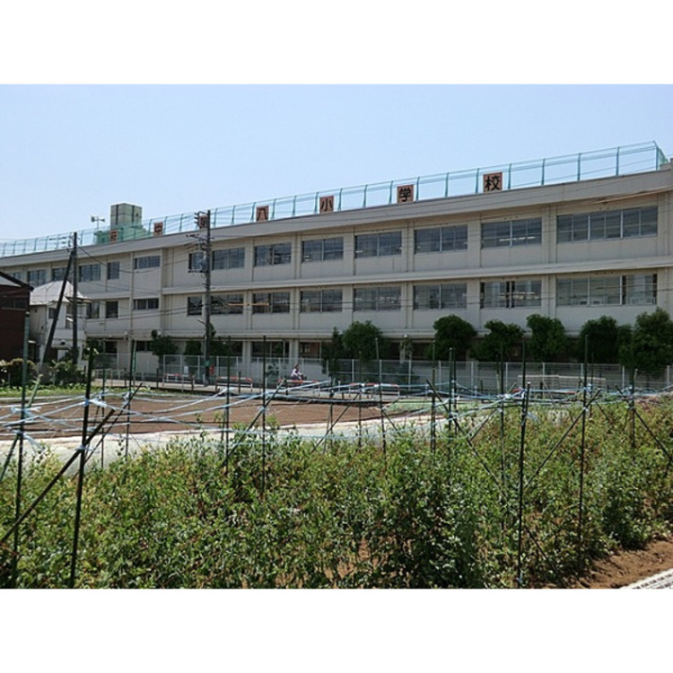 周辺 第八小学校(約350m)