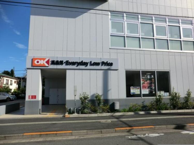 周辺 オーケー 矢口店　390ｍ