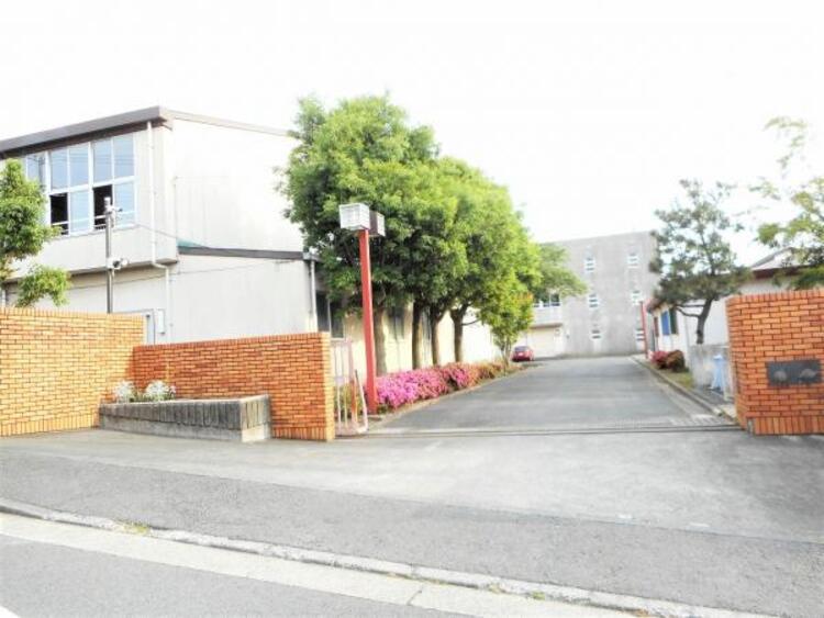 周辺 金程中学校まで約709ｍ