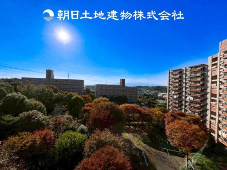 その他 【眺望】目の前に手を伸ばせば、触ることが出来そうな環境が、そのままインテリアになったような印象です。その豊かな眺望にふさわしい空間には、通風・採光にも優れ、心地よい光と風があふれています。