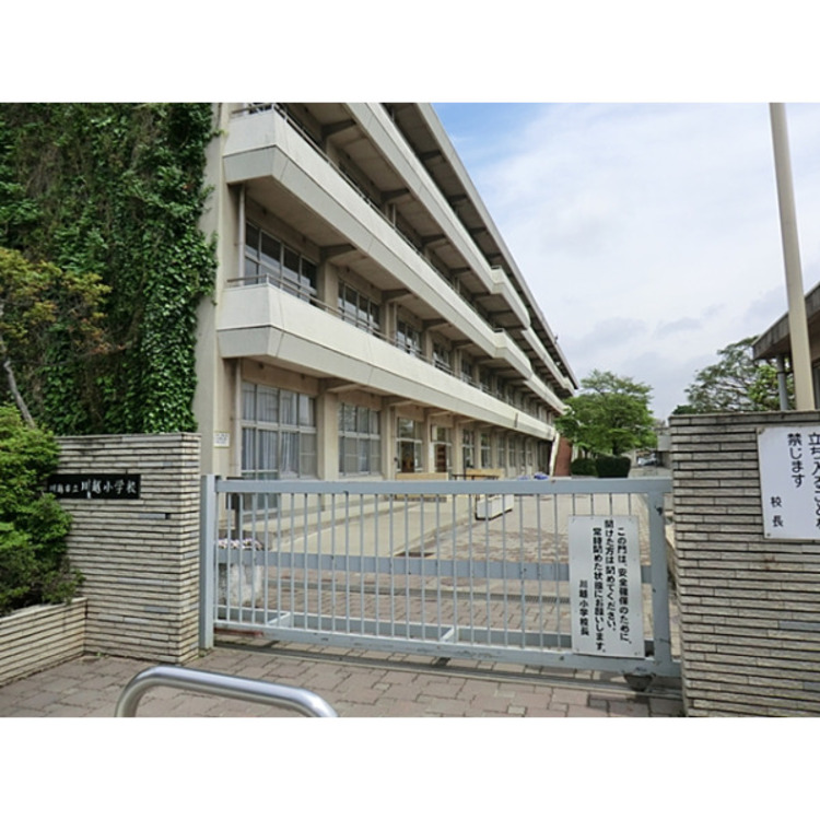 周辺 川越小学校(約240m)