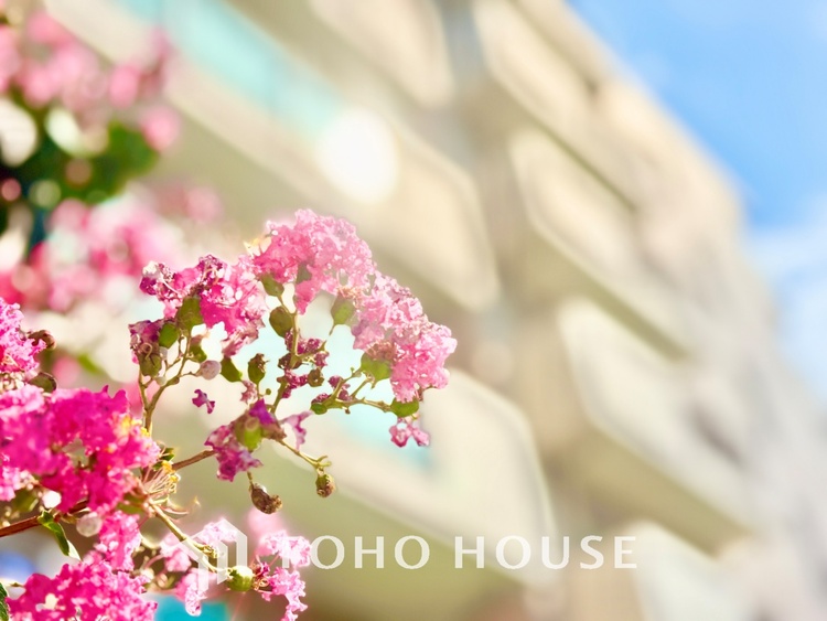 キッチン ほんの少しのこだわり。ちょっとした色使いがその家がもつ雰囲気、趣（おもむき）を携え、暮らす家族や訪ねてくる友人・知人に新鮮な香りを運んできます。