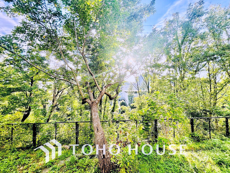 その他 住戸からの眺望