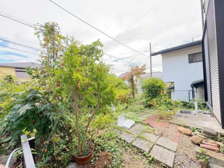 その他 【2025年9月撮影】