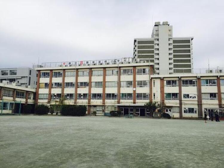 周辺 板橋区立蓮根小学校