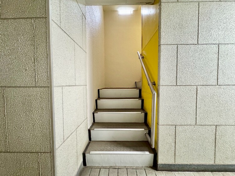 その他 共用部の階段です。明るく清潔に管理されています。