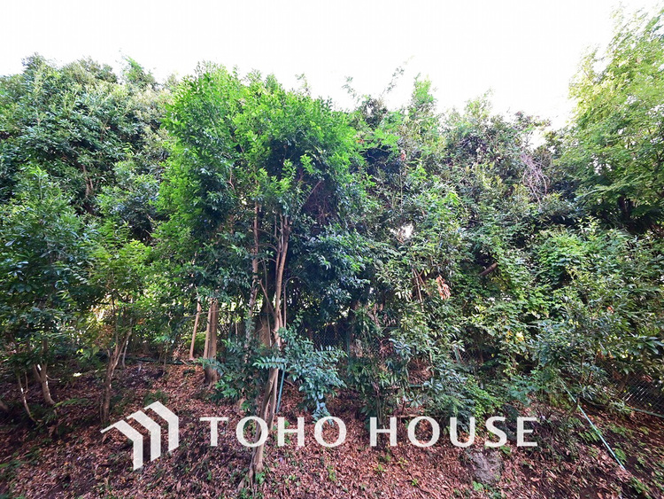 その他 バルコニーからの眺望