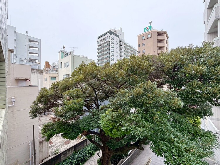 その他 眺望や窓からの景色が良いと、家で過ごす時間も快適です。