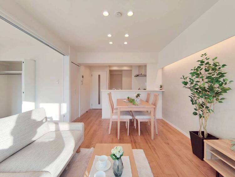 その他 通風・採光に優れ、心地よい光と風が溢れています。