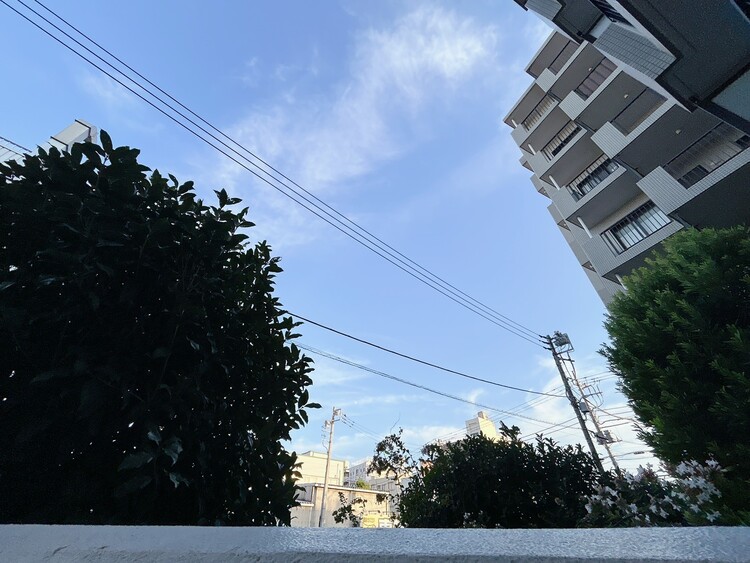 その他 陽当たり・通風・開放感に恵まれた環境です。